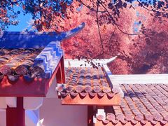 -岳麓山风景名胜区