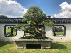-盆景园(扬州大运河文化旅游度假区)