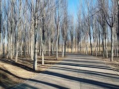 -东郊湿地公园