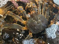 辣炒帝王蟹-蟹之国·精品蟹料理(极地店)