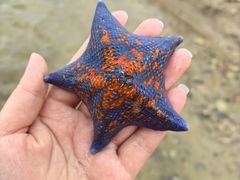 -那香海钻石沙滩浴场