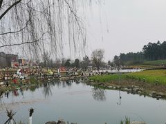 -天府芙蓉园