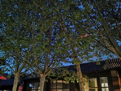 -嵩祝寺及智珠寺