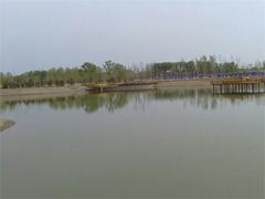 -东郊湿地公园