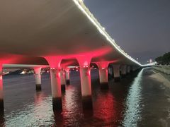 -演武大桥观景平台