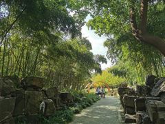 -无锡蠡湖国家湿地公园-蠡园