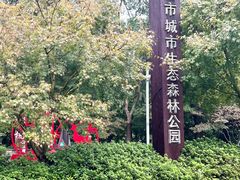 -昆山城市生态森林公园