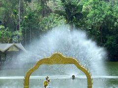 -西双版纳原始森林公园