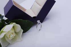 经典的六爪，简单低调~很突显钻石-威德钻石-克拉钻大本营(南京东路店)