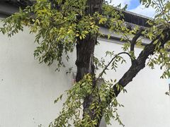 -长圻码头