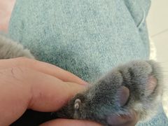 -酷宠动物医院(天通西苑店)