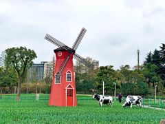 -大宁公园