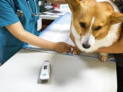 -美联众合动物医院·24h转诊中心