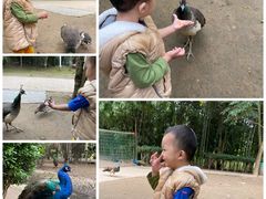 -贵州森林野生动物园