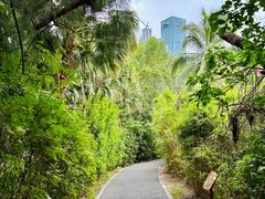 -华侨城湿地公园