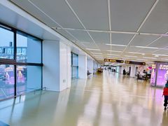 -郑州新郑国际机场-T2航站楼