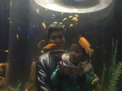 -洛阳龙门海洋馆