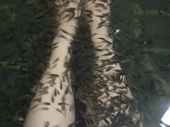 -龙达温泉生态城
