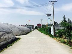 游乐设施-阿林有机农庄