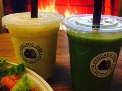 -油梨树 AVOCADO TREE(亮马桥店)