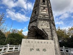 -上海佘山国家森林公园天马山园