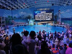 -海合安武汉极地海洋公园