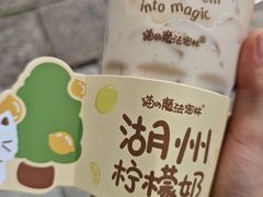 -猫的魔法密林(衣裳街店)