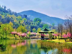 -牛首山文化旅游区