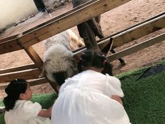 -HERRE·FARM 赫尔露营农场·团建聚会包场