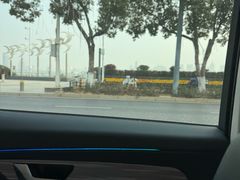 -秋水广场音乐喷泉