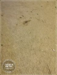 -八佰伴8008星级形象店