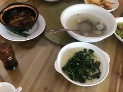 琼海鹅肉-琼海温泉鹅农家饭店