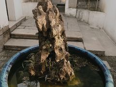 -月栖华明-云间草堂清茶馆(泗泾古镇店)
