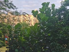 -呀诺达热带雨林