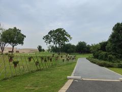 -盘龙城国家考古遗址公园