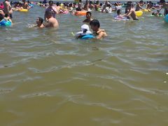 -碧海金沙