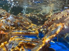 -盒马鲜生(顺义店)