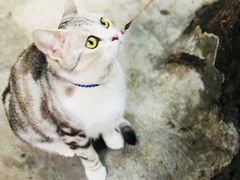 门面-西关84·History·Art·Cafe