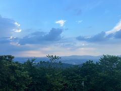 -风云岭森林公园