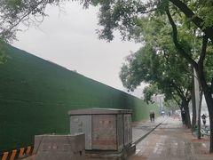 -北京市垂杨柳医院