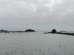 -前海沿·青岛菜(乐客城店)