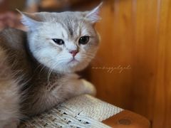 -小晴天咖啡馆