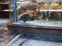 -旺豪阳光超市(友谊阳光城店)