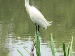 -新江湾城公园