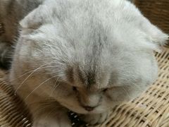 -MIKAKU(万达广场上海宝山店)