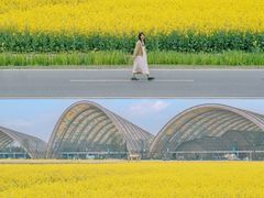 -中国天府农业博览园