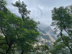 -泰山风景名胜区