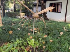 -汇龙潭