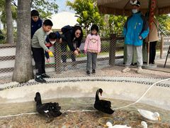 -珠海海泉湾神秘岛亲子乐园