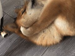 -Best U照相馆·企业外拍部(环球港店)